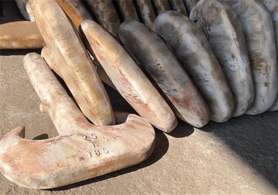 Technical Characteristics And Industry Development Trends Of Crane Hooks